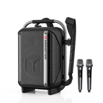 Loa Karaoke 2 Mic Bluetooth Monster Party Go 20 MS22142