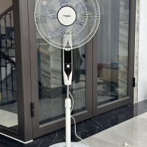 Quạt cây chính hãng Whirlpool (Mỹ) siêu mạnh  - không chổi than